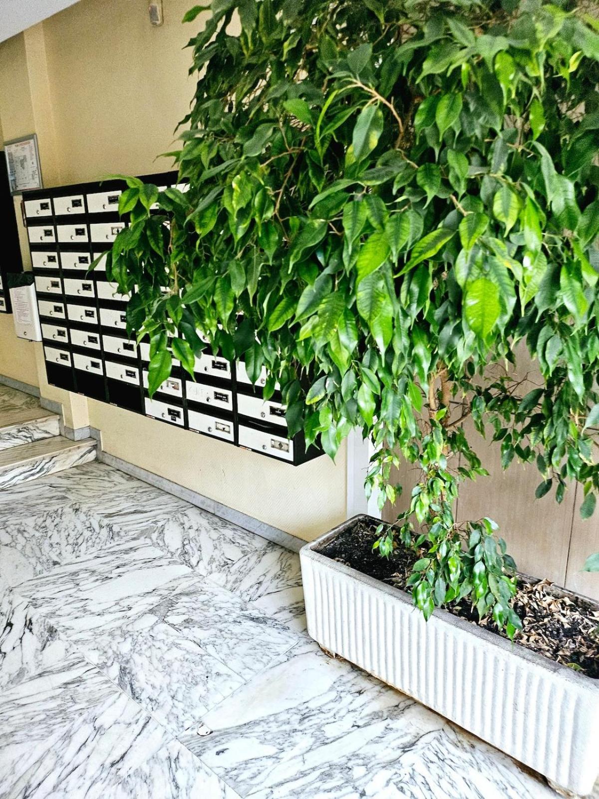 T1 Bord De Appartamento